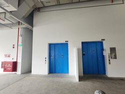 Eldix (D25), Factory #498447061